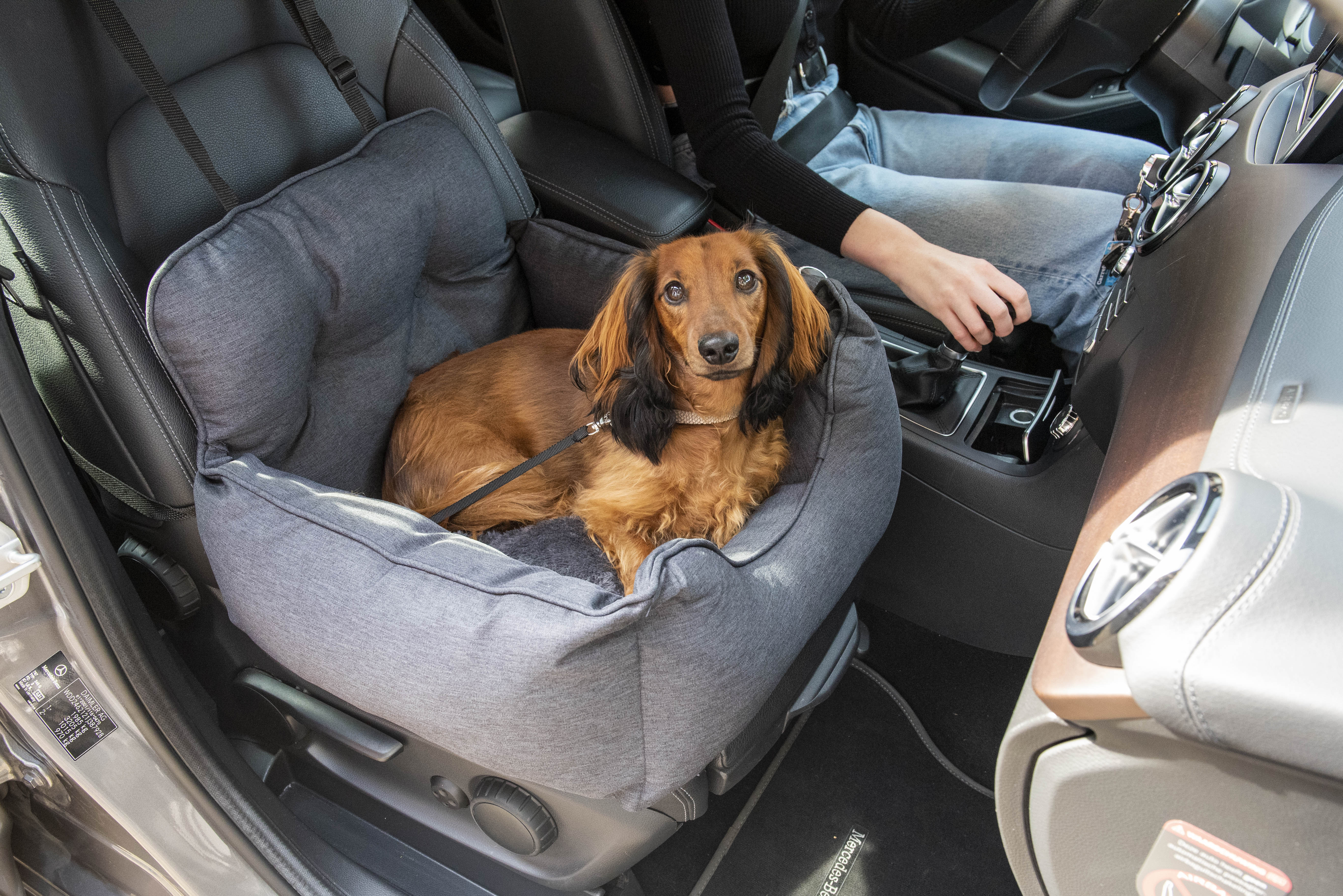 Jack&Vanilla - Autostoel