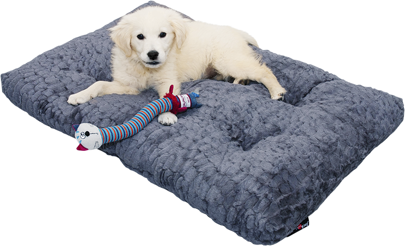 Jack&Vanilla - Scale - Kussen - L