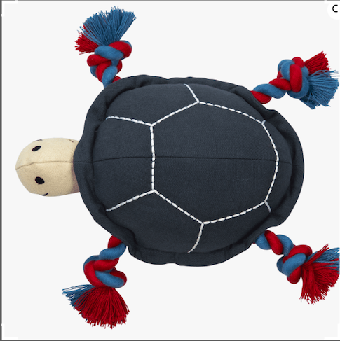 Jack&Vanilla  - Rex Schildpad