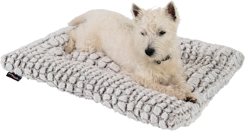 Jack&Vanilla - Snakeskin - Kussen - S