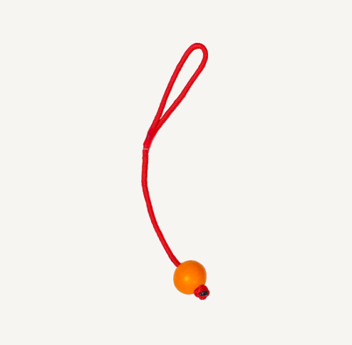 Animal Boulevard - Trektouw met Bal - S