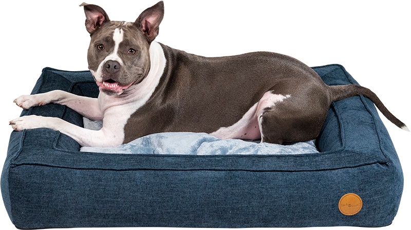 Jack&Vanilla - Orthopedisch Boxbed - L