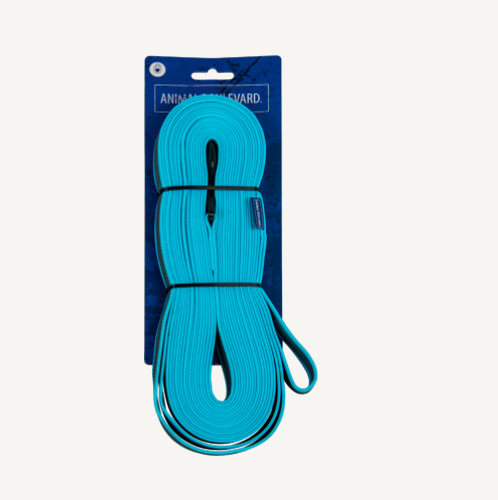 Animal Boulevard - Grip - Speurlijn