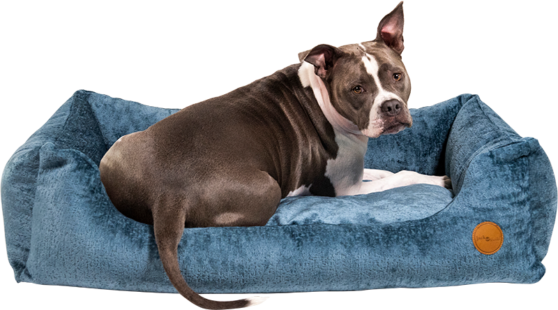 Jack&Vanilla - Orthopedische Sofa - M