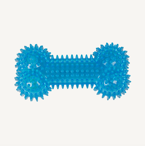 Animal Boulevard - TPR - Spikebeen - L