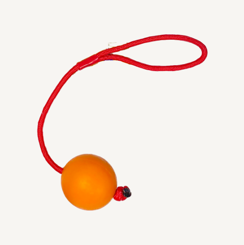 Animal Boulevard - Trektouw met Bal - L