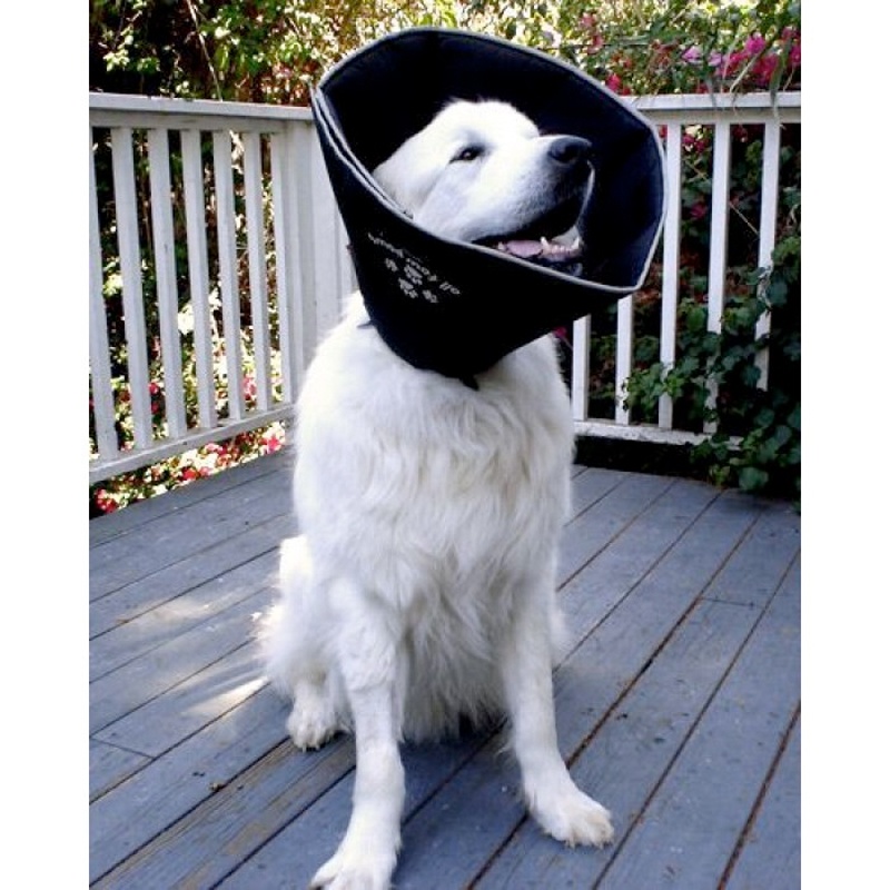 Comfy Cone - Large - Zwart