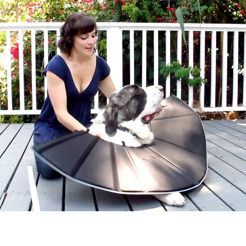 Comfy Cone - XXLarge - Zwart