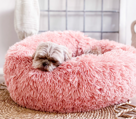 District 70 - Fuzz - M