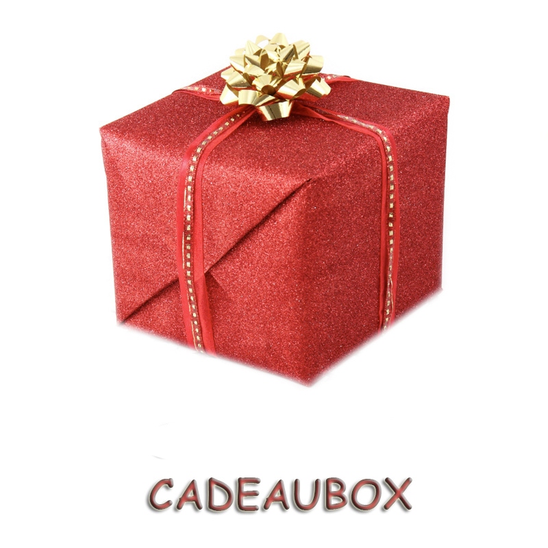Dog Large Cadeaubox