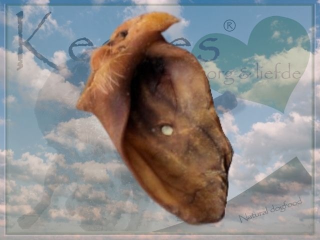 Happy Keetjes - Hollandse Zeugenoren - 5 stuks