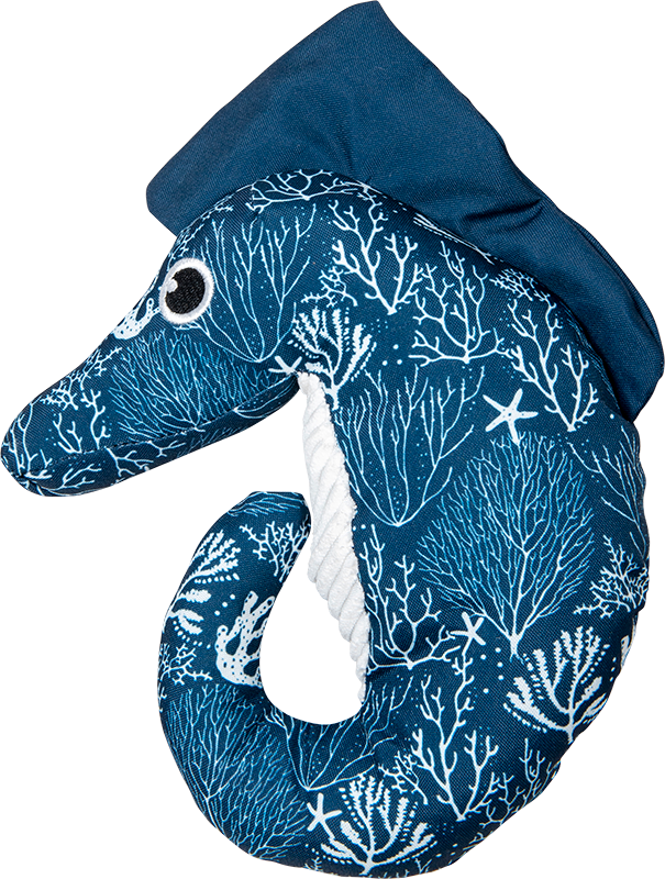 Jack&Vanilla - Zeepaardje