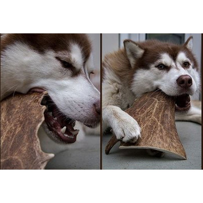 Jack&Vanilla - All Nature - Fallow - Xlarge -  221g-300g