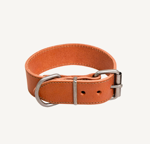 OUTLET : Waxed Leather - Halsband - 35-43 cm