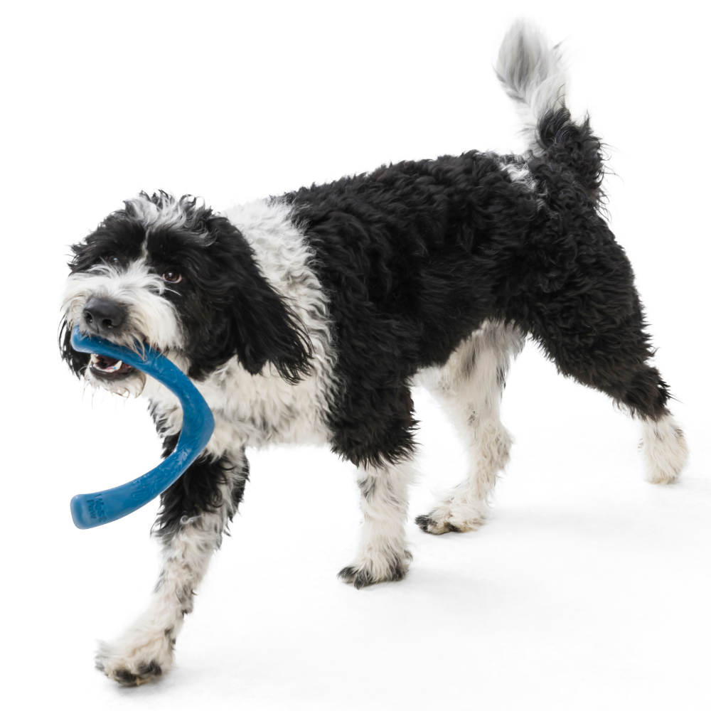 West Paw - Seaflex - Snorkl