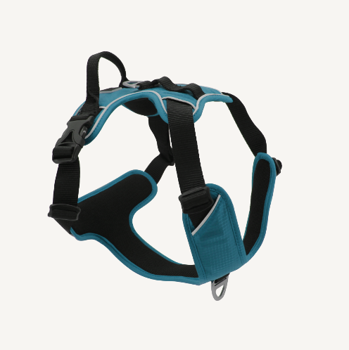 Jack&Vanilla - Expedition - Harnas - S