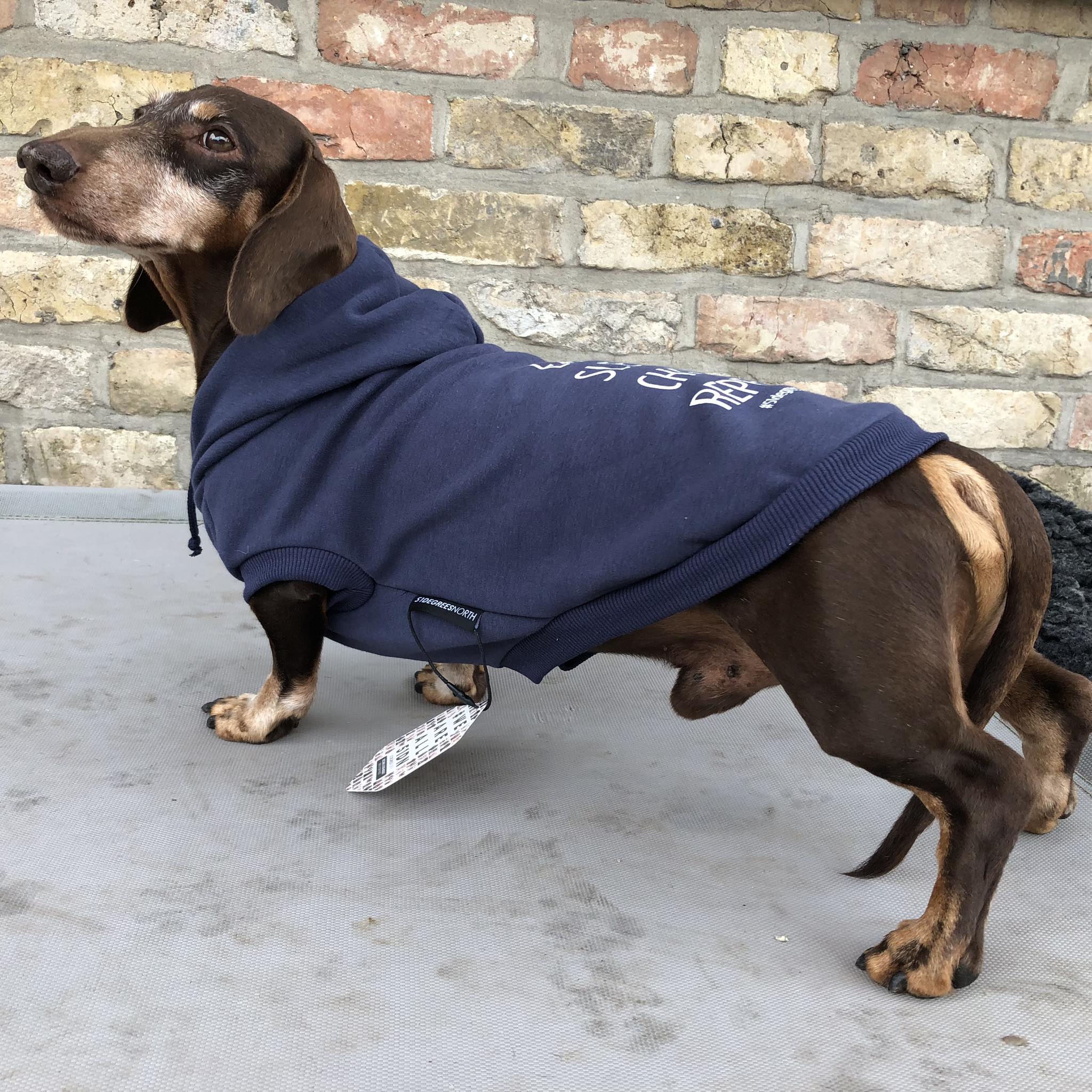 51 DN - Sweater met Print - 36 cm