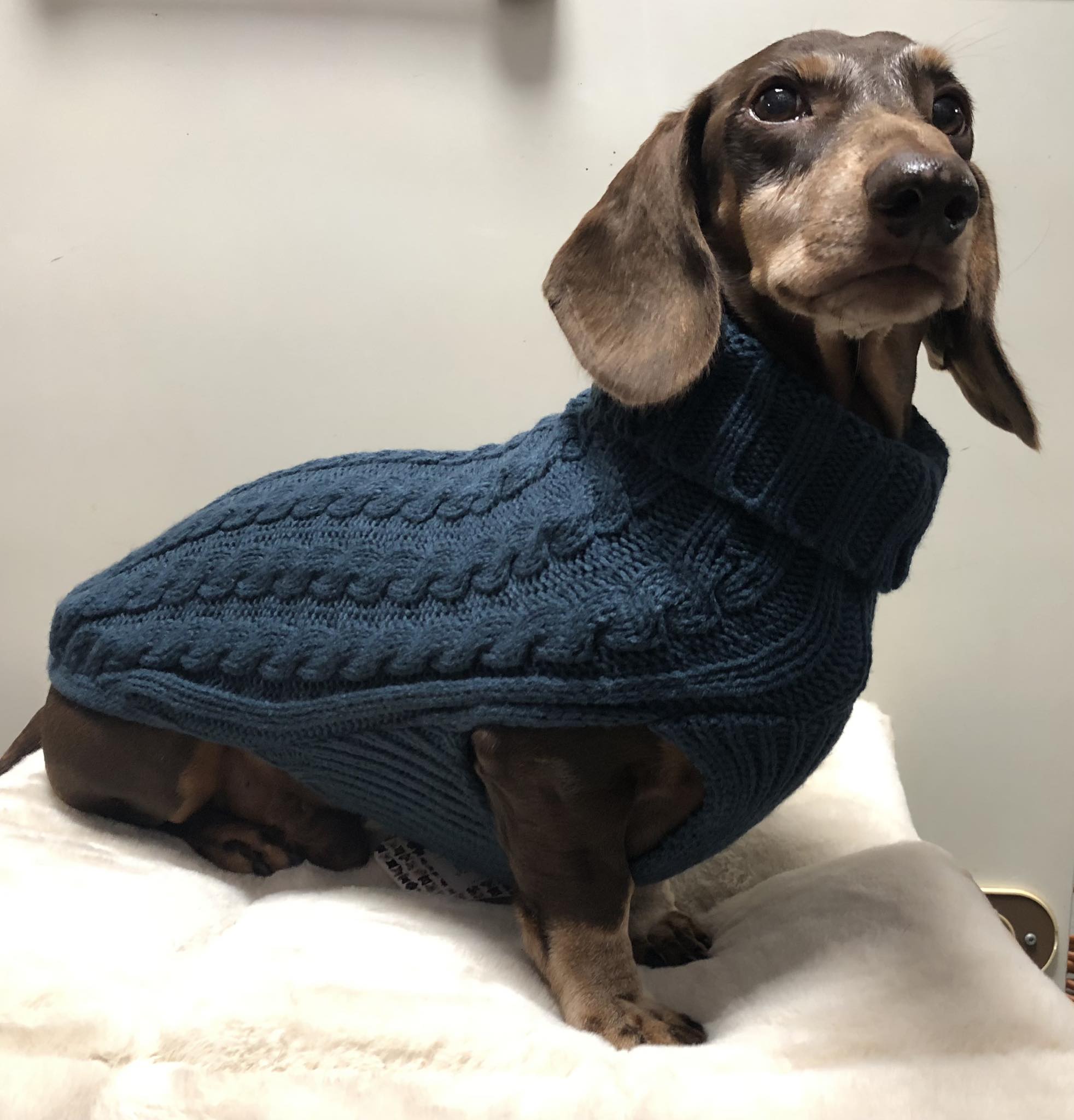 51DN - Kabeltrui - 42 cm