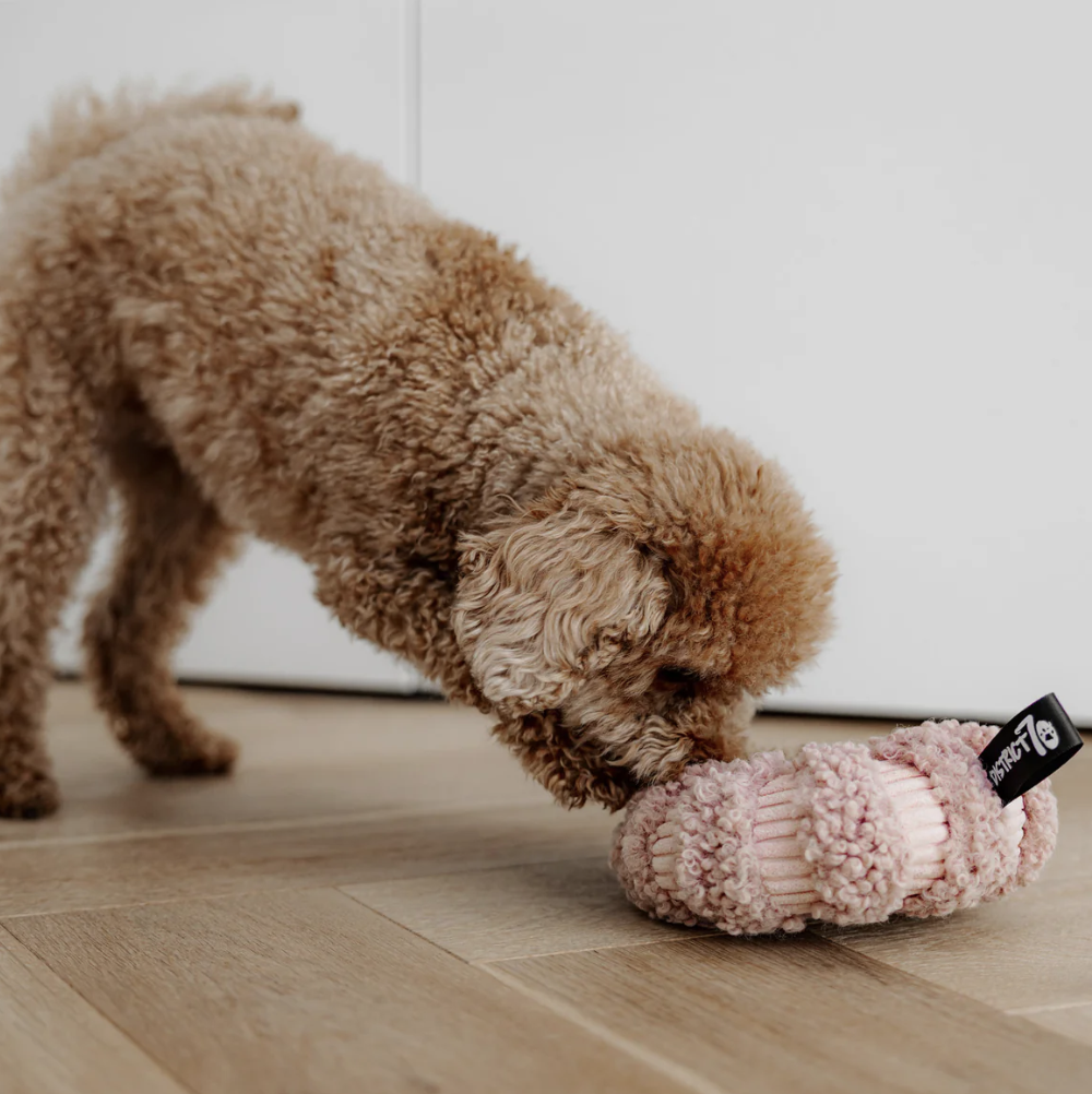 District 70 - Daisy - 14 cm