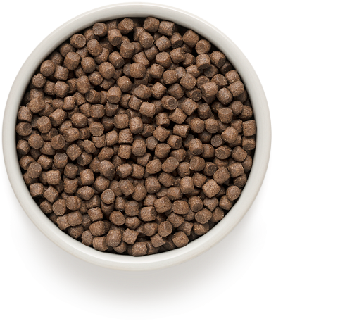 Grandorf - Adult Mini Rassen - Kalkoen/Bruine Rijst - 1 kg