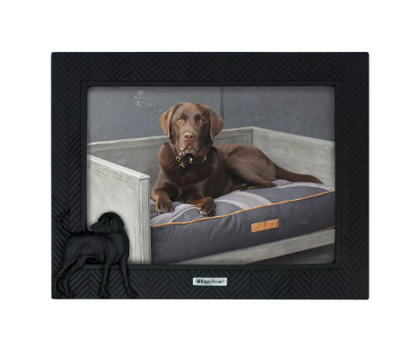 Happy House - Fotokader - Visgraat