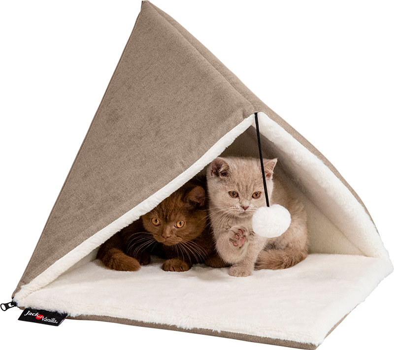 Jack&Vanilla - Molly - Piramide