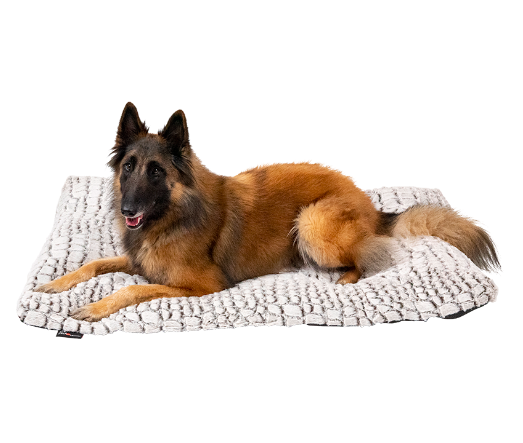 Jack&Vanilla - Snakeskin - Kussen - L