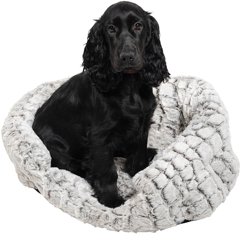 Jack&Vanilla - Snakeskin - Mand - L