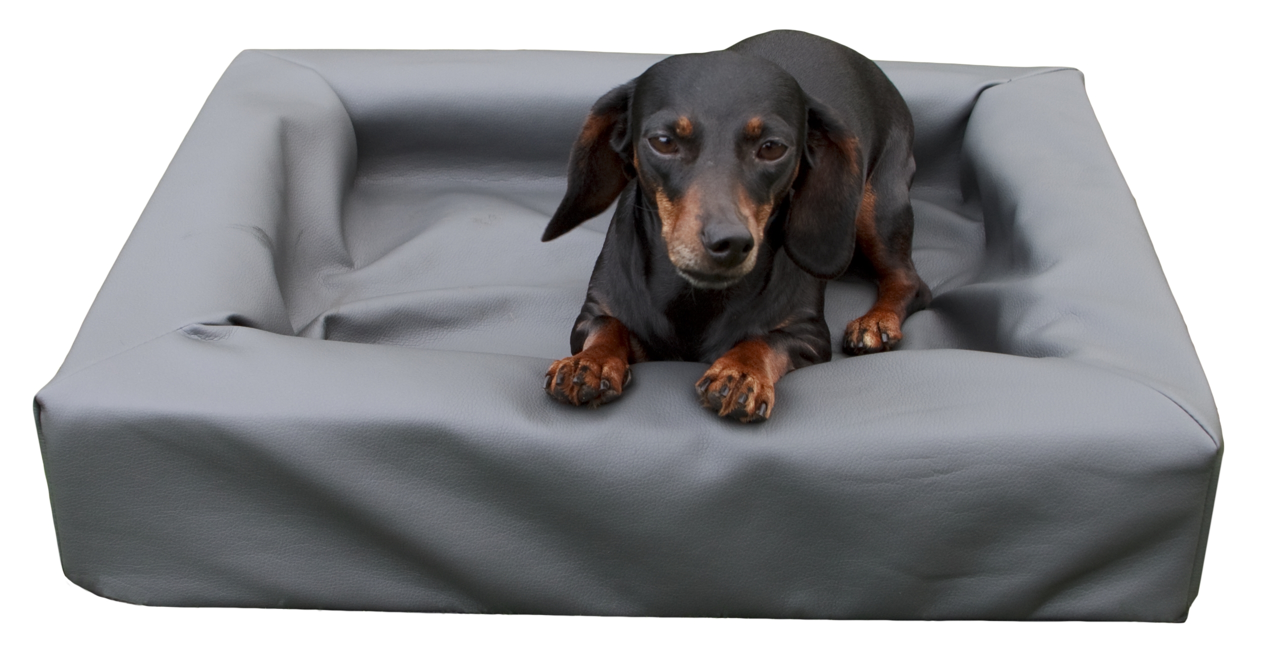 Lounge Dogbed - S
