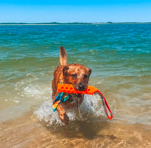 N-Gage - Hydro Bumper