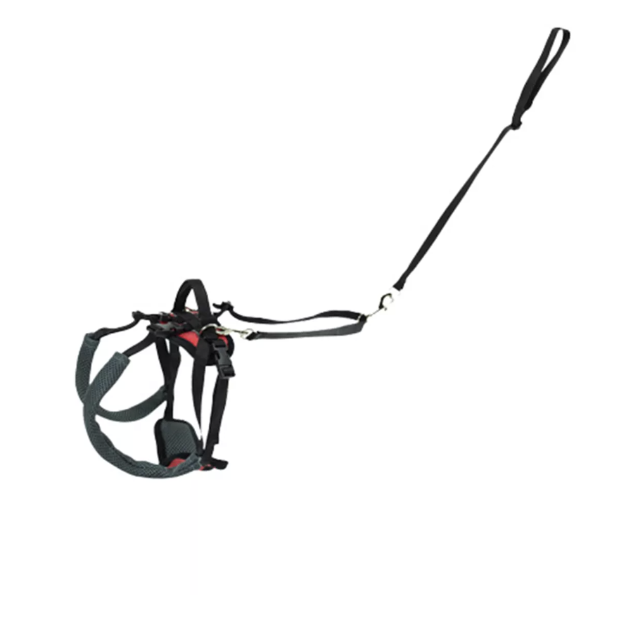 Petsafe - CareLift Achter - Small