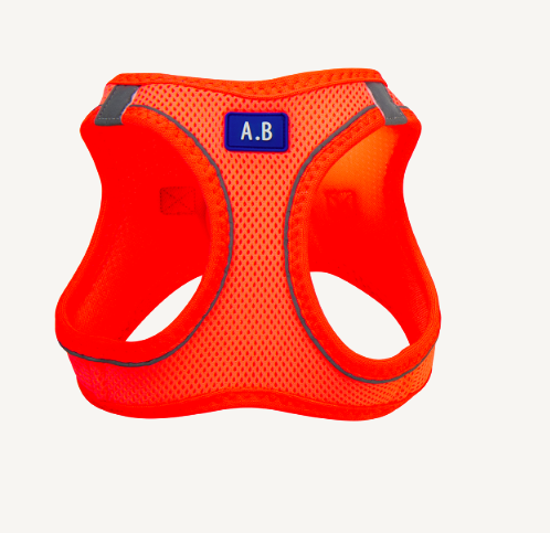 Animal Boulevard - Harnas - Fluo