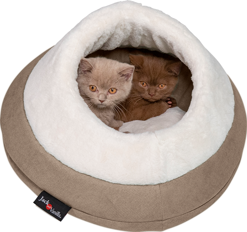 Jack&Vanilla - Molly - Anemoon