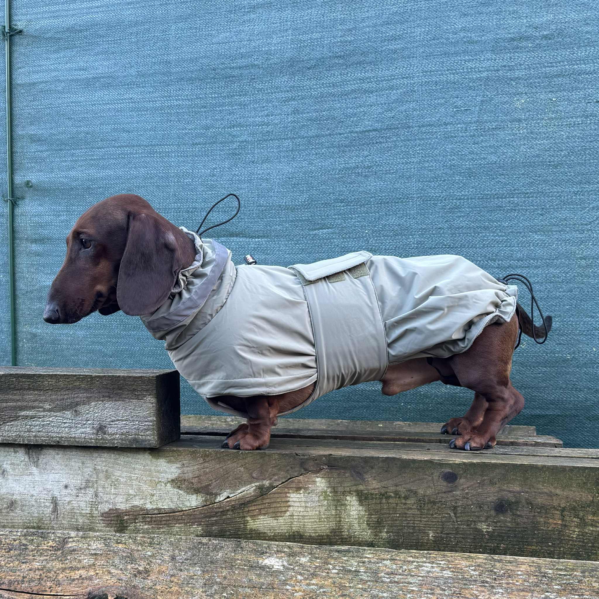 Jack&Vanilla - Teckeljas - M